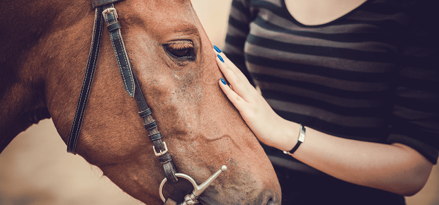 Jazdec sa rukou dotýka koňa